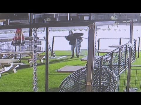 Man caught on camera ripping gate off its hinges, spending night at Houston bar, manager says
