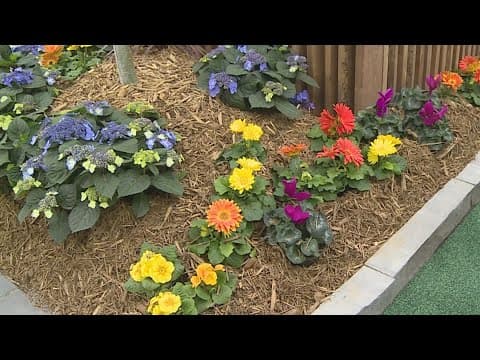 The Home + Garden show returns to Minneapolis Convention Center