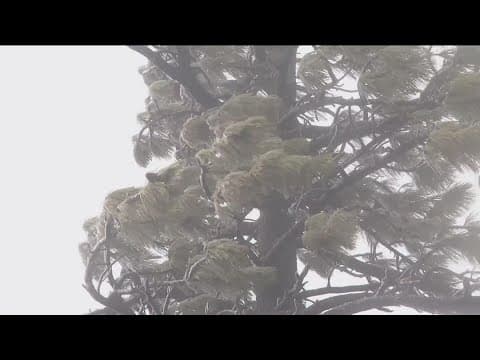 San Diego County battered by powerful wind gusts