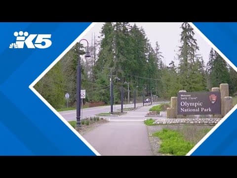 National parks feel pinch as ranger training classes face delays due to ICE training