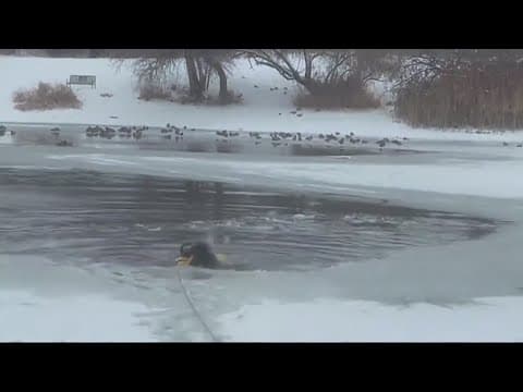 Fireman rescues dog from freezing waters in Utah