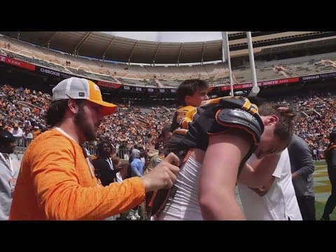 How does the spring transfer portal work?