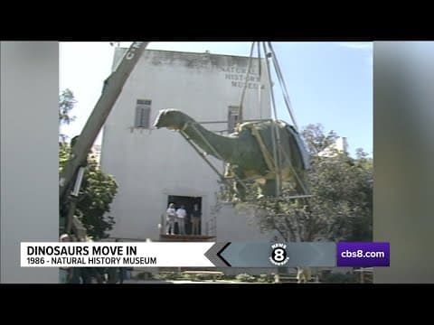 San Diego museums through the decades 1950s through 1990s| News 8 Throwback Special