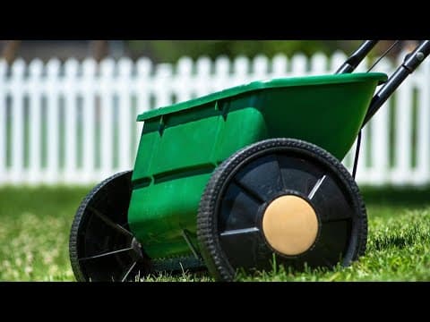 Virginia Green wants to make sure your lawn is healthy ahead of Fall
