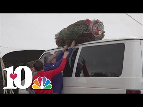 Bluebird Christmas tree farm almost out of supply