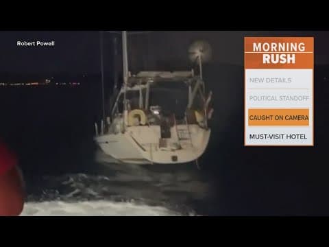 A pod of Orcas charge boat on the Mediterranean