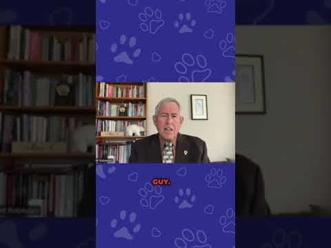 Man faces 22 felonies for pet insurance fraud