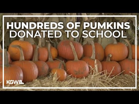 350 pumpkins donated to a Salem elementary school