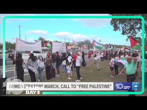 Hundreds of people march in Temple Terrace calling for freedom in Palestine
