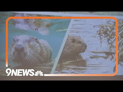 BeaverCON brought people from around the country to Boulder