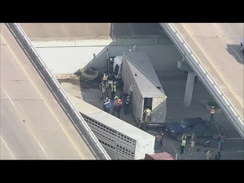 Semi-truck hauling trailer filled with bulls and calves crashes on Texas highway