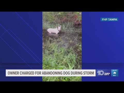 Owner of dog left tied to fence on I-75 ahead of Milton charged with animal cruelty