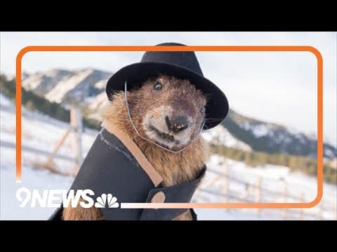 WATCH: Will Flatiron Freddy predict 6 more weeks of winter on Groundhog Day?