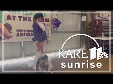 Therapy farm fundraises with animal fashion show