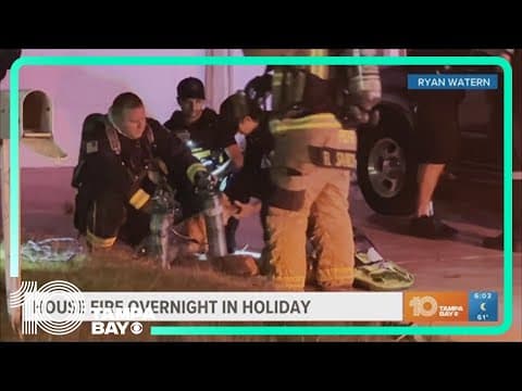 Two dogs rescued from house fire in New Port Richey, Florida