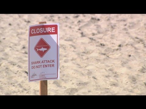 Del Mar Beach closed after shark attack on a female swimmer