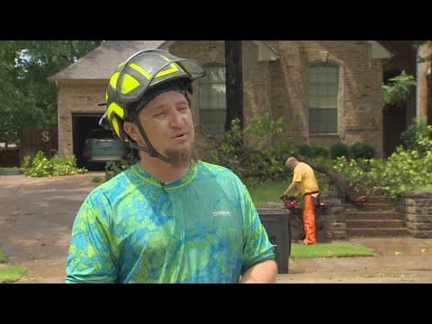 Here's why your healthy tree may have fallen during a storm