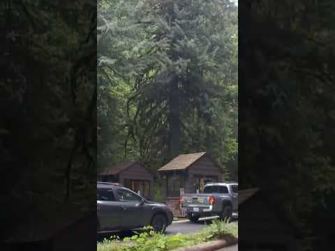 U.S. Forest Service workers fighting back following mass layoffs