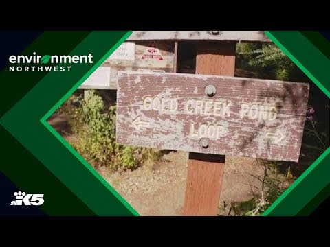 Gold Creek Pond could close for up to 10 years for a restoration project