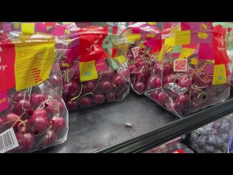 New study finds plasticizers are found in most processed foods