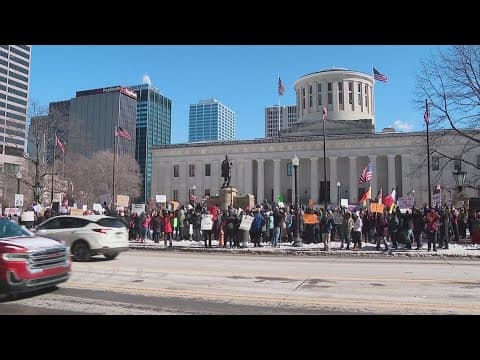 Hundreds take to statehouse to protest Trump administration's policies