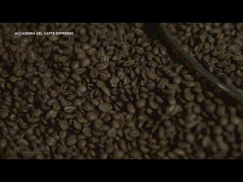 Farming Coffee | ECO9