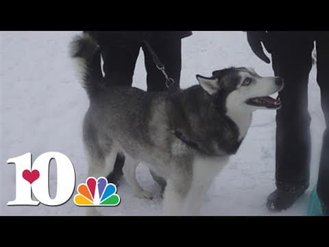 Lakeshore Park in Knoxville sees blankets of snow