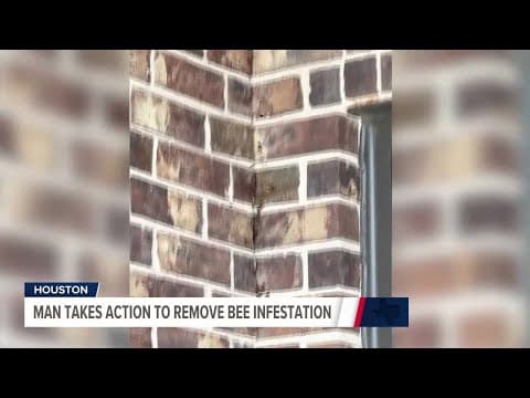 Thousands of bees chase Fulshear man from his home | Texas News Now