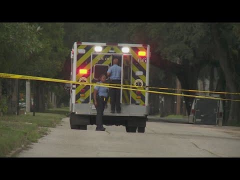 Woman, officers injured in chainsaw attack