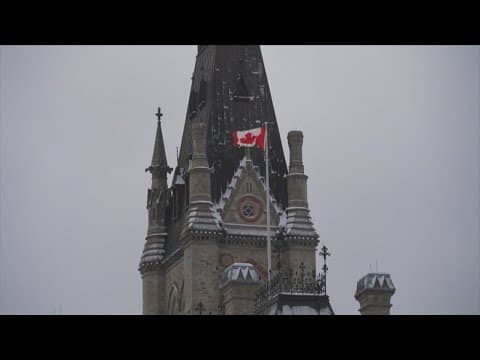 Trump threatens new tariffs on Canada, including 250% tax on dairy and lumber