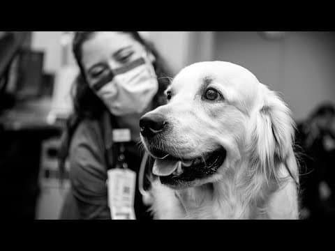 Ohio State physicians, medical students show off talents in virtual art show