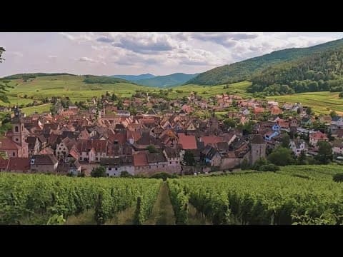 Wednesday marks 100 days until Paris Olympics