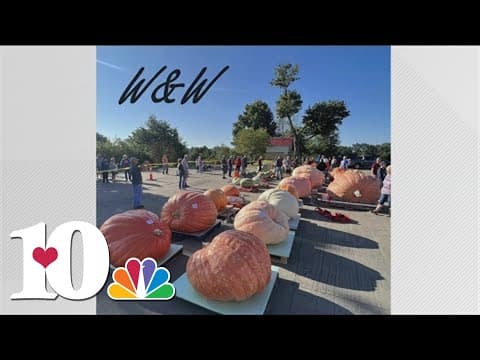 Allardt is all about giant pumpkins! Great Pumpkin Festival to kick off in early October