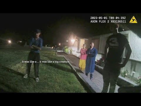 Las Vegas homeowner calls 911 about possible alien sighting; officers respond