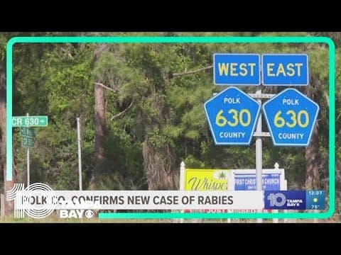 Second case of rabies this year confirmed in Polk County