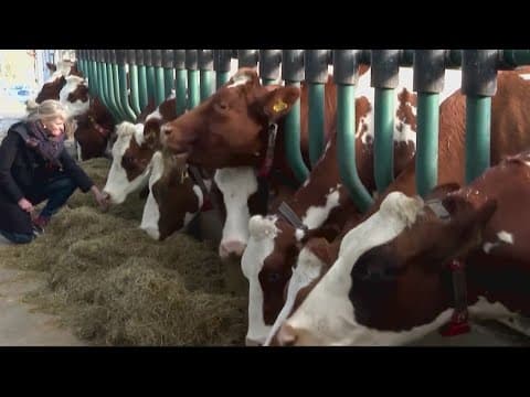 Climate Conscious Floating Farm | Environment Matters