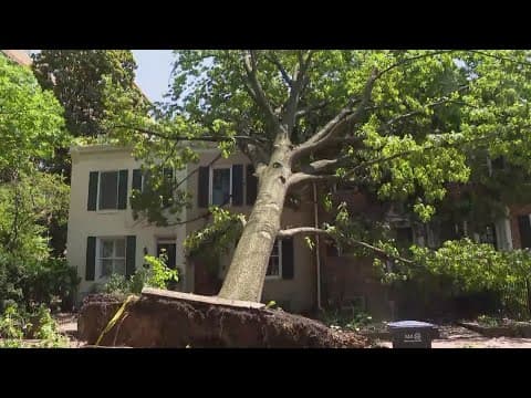 Cleanup still underway in DC as downed trees still impacting residents