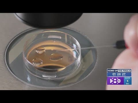 Texas Supreme Court won't take up Denton County case that could have imperiled IVF access