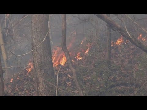 Sevier County leaders lift burn ban due to recent rain and higher humidity