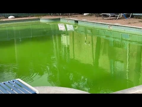 KHOU 11 Investigates: Houston health inspectors rarely fine swimming pools for dangerous conditions