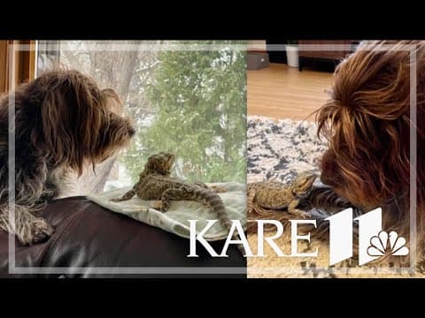 Your Good News: Sue Kelly, Mary Kummer, Allan Pavek & Norm Stocker