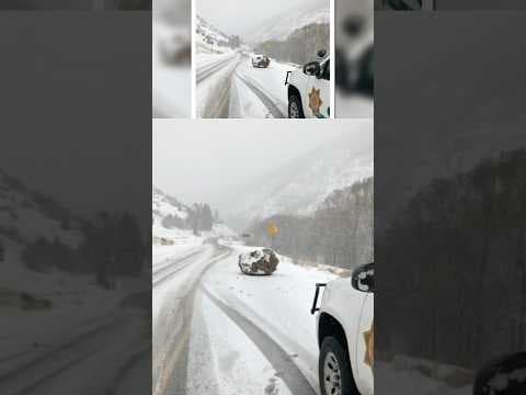 ‘Large boulder the size of a small boulder’ viral tweet turns 5 years old