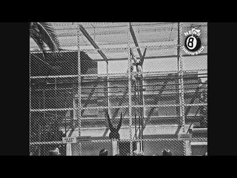 Summer School at the San Diego Zoo 1954