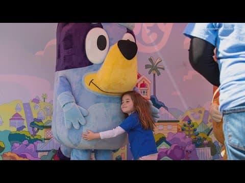 'Bluey' and 'Bingo' stop by Indianapolis Indians game, bring in crowd of almost 12,000