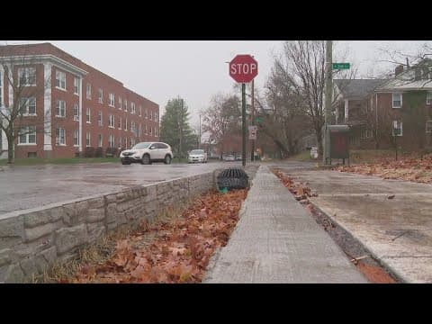 Columbus spent $140 million on rain gardens to address stormwater overflows