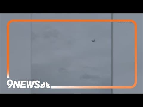 Aviation expert answers questions about bird, wildlife strikes