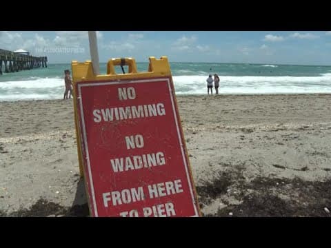 Rip currents are the greatest danger for beachgoers, account for most rescues: What to know