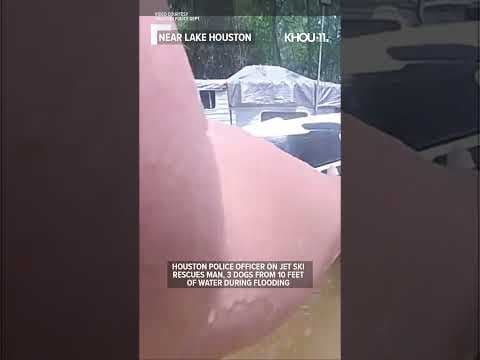 HPD bodycam: Cop on jet ski rescues man, dogs from floodwaters #shorts