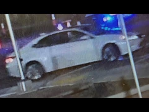 Sarasota police provide update on deadly hit-and-run crash