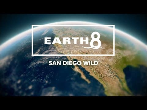 San Diego Wild | Earth 8 Special
